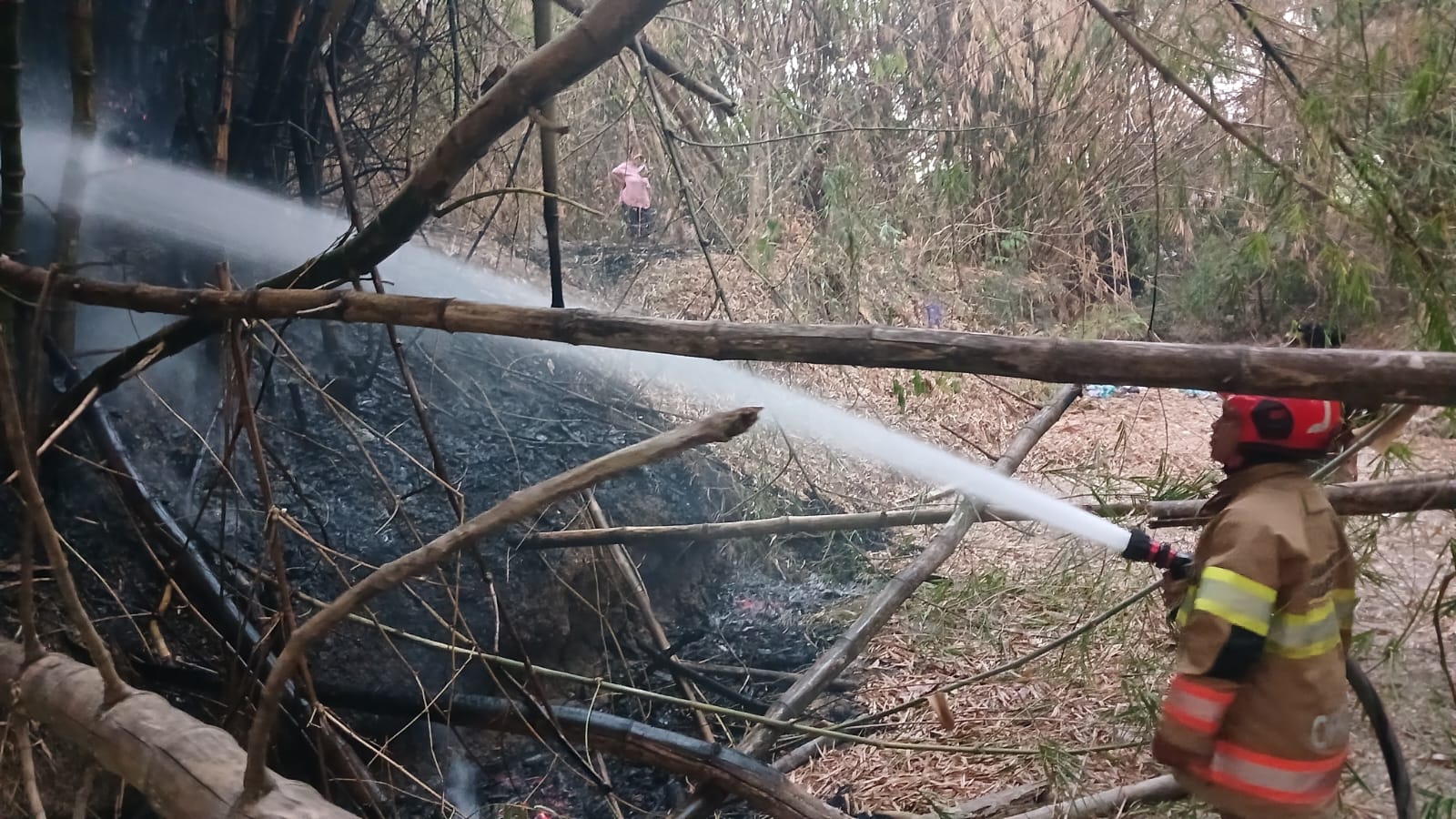 Damkarmat Bojonegoro Tangani Kebakaran Lahan di Desa Jatimulyo, Tambakrejo