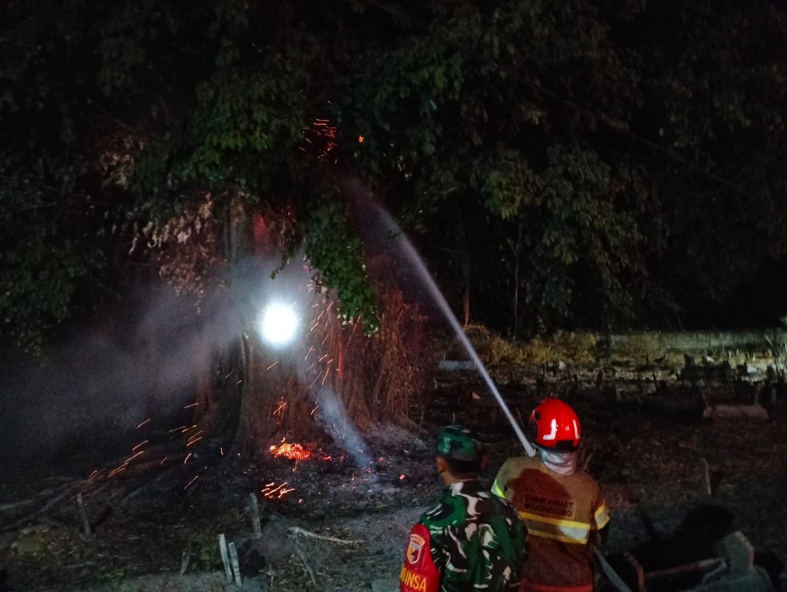 Damkarmat Bojonegoro Tangani Kebakaran Pohon Beringin di Desa Talun