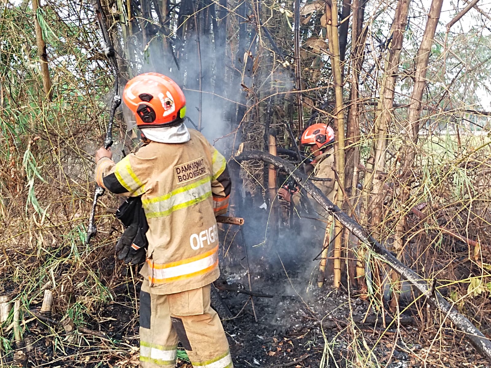 Damkarmat Bojonegoro Tangani Kebakaran Lahan di Desa Ngumpakdalem