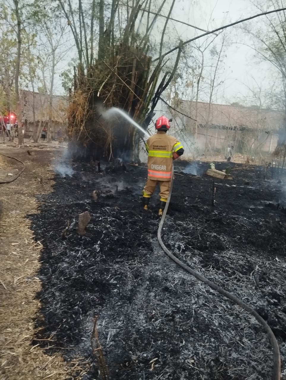Damkar Bojonegoro Padamkan Kebakaran Rumpun Bambu di Kedungadem