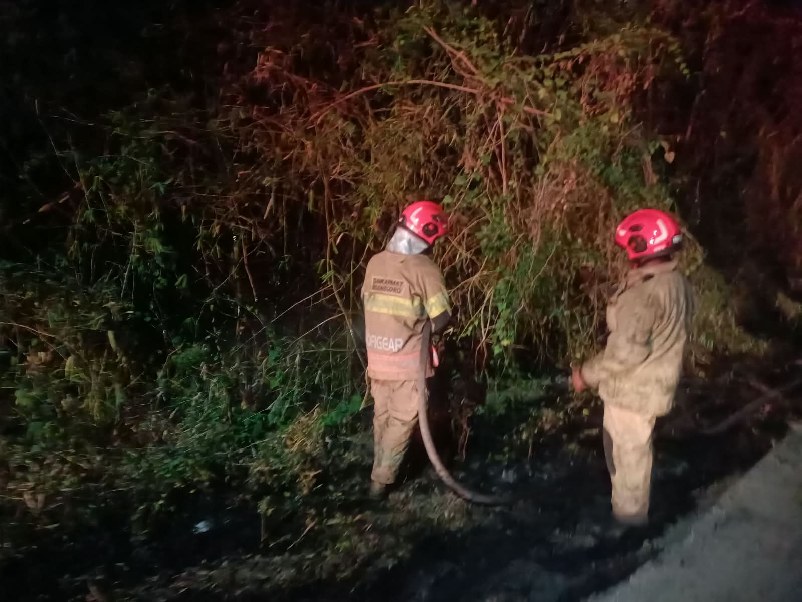 Damkarmat Bojonegoro Padamkan Kebakaran Rumpun Bambu di Kalirejo