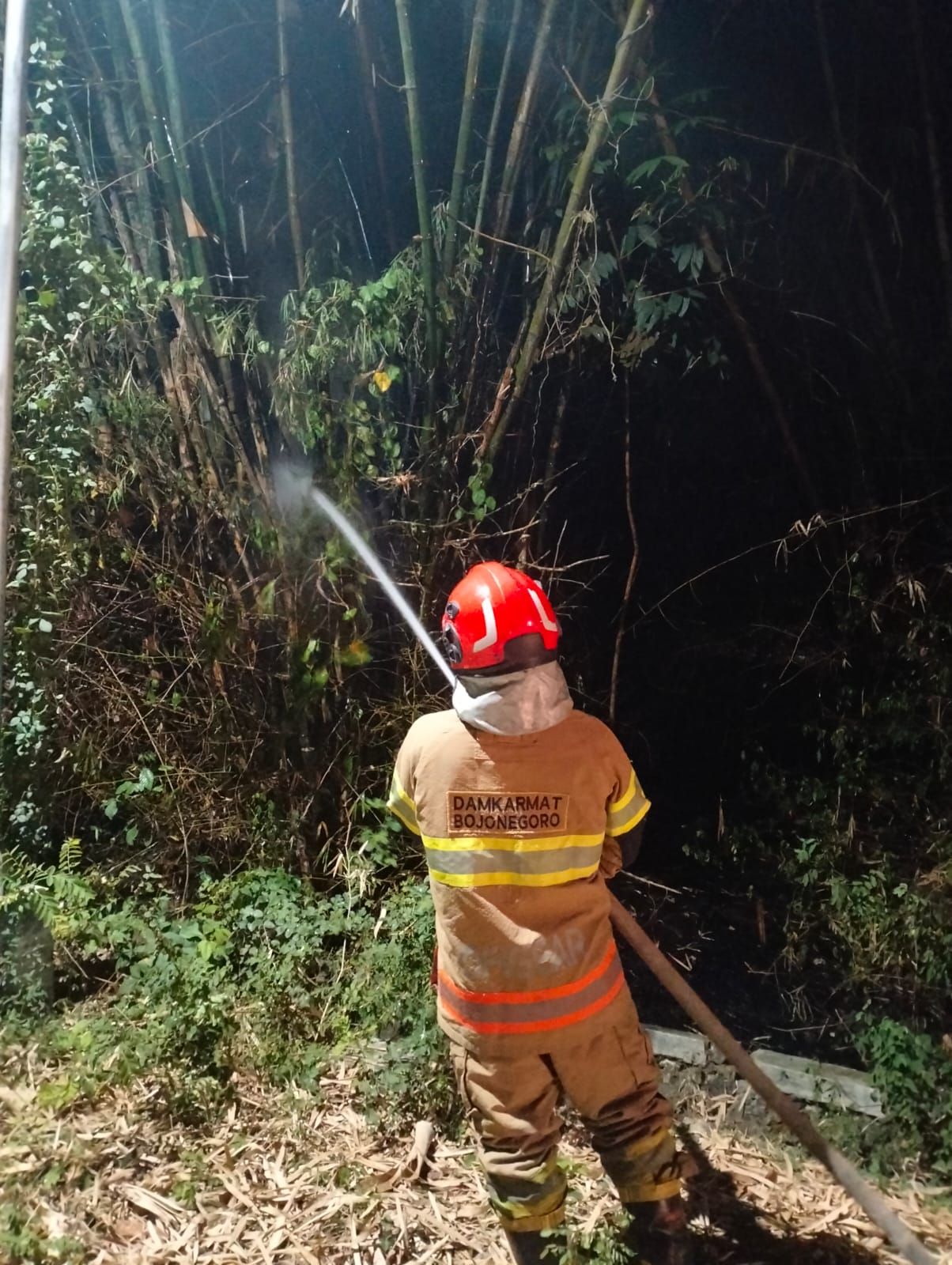 Damkarmat Bojonegoro Tangani Kebakaran Rumpun Bambu di Desa Simbatan