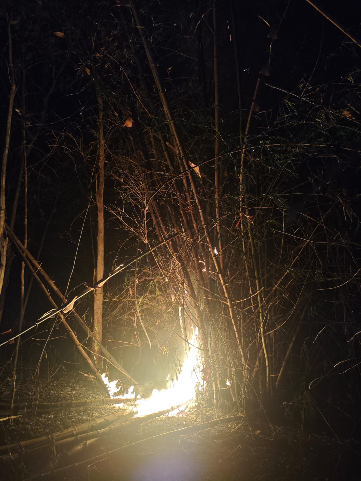 Damkarmat Bojonegoro Padamkan Kebakaran Rumpun Bambu di Desa Duwel