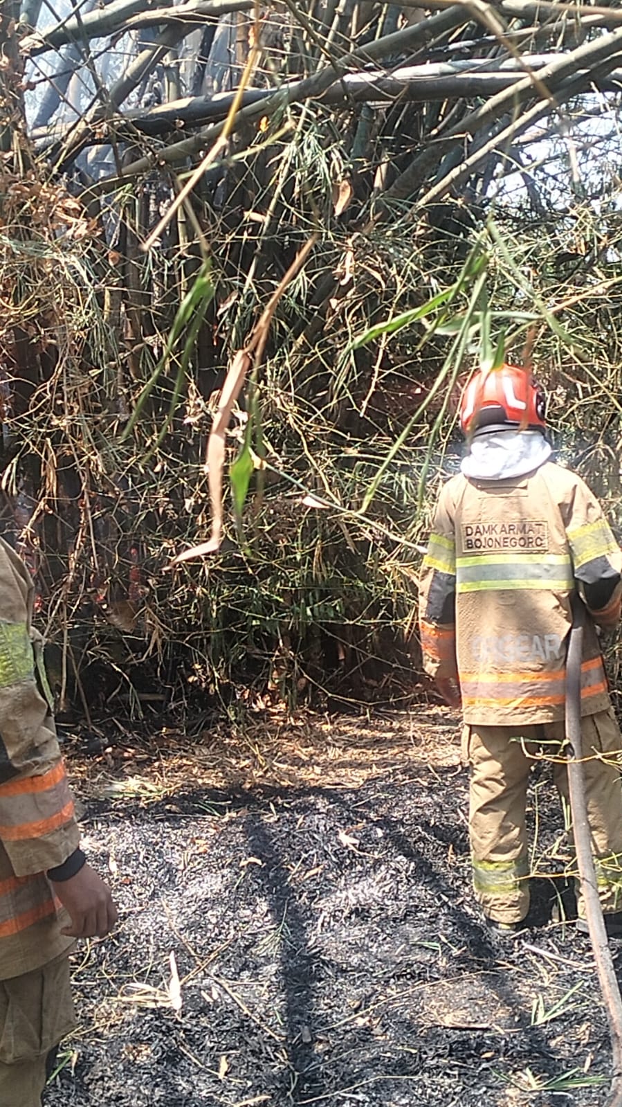 Damkarmat Bojonegoro Padamkan Kebakaran Rumpun Bambu di Ngradin, Tiga Jiwa Berhasil Diselamatkan