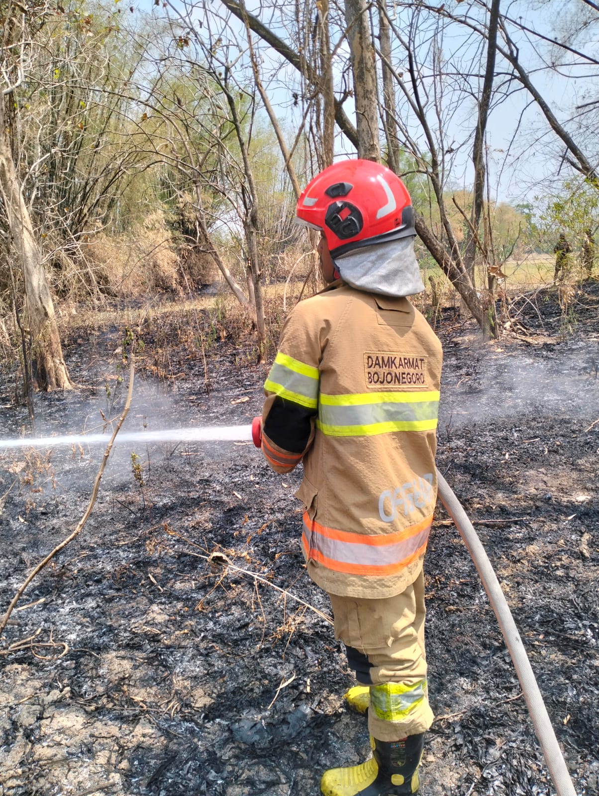 Damkarmat Bojonegoro Padamkan Kebakaran Rumpun Bambu di Desa Megale, Kedungadem