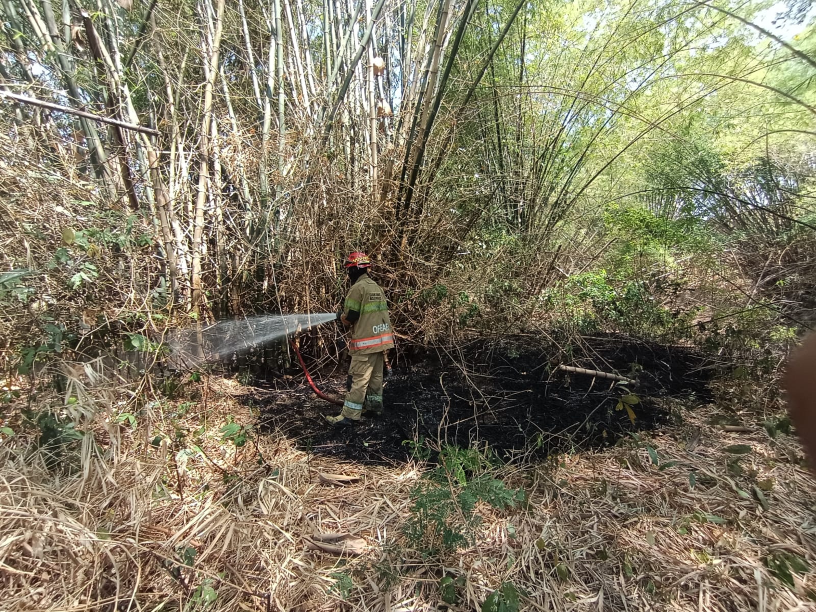 Kebakaran Lahan di Sukosewu Berhasil Dipadamkan, Selamatkan Sejumlah Bangunan Pesantren