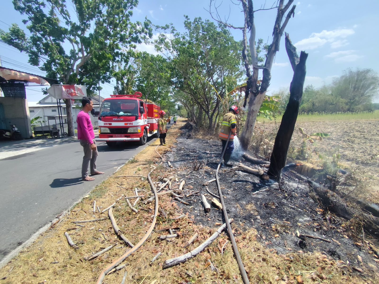 Pembakaran Sampah Picu Kebakaran Lahan dan Pohon di Brangkal.