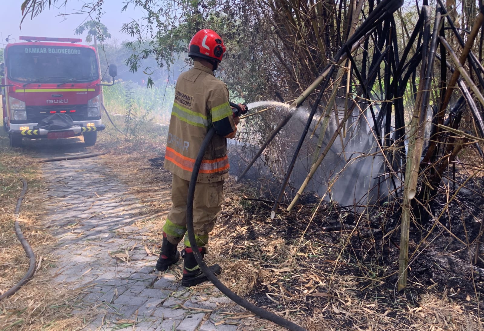 Pembakaran Sampah Picu Kebakaran Dua Rumpun Bambu di Kanor.