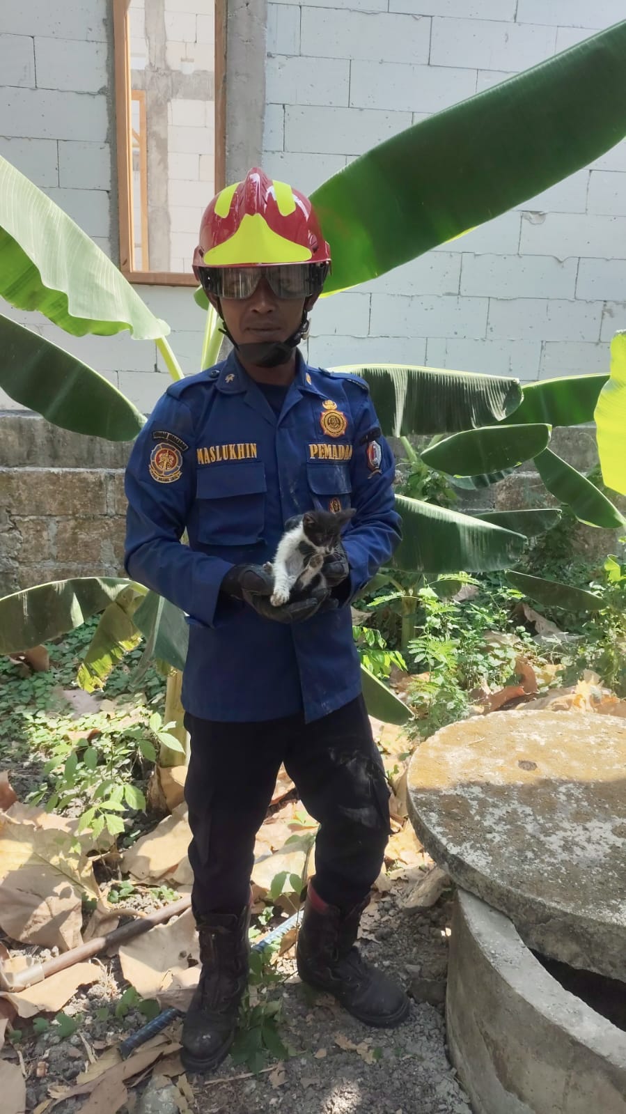 Seekor Kucing Berhasil Dievakuasi Damkarmat Bojonegoro