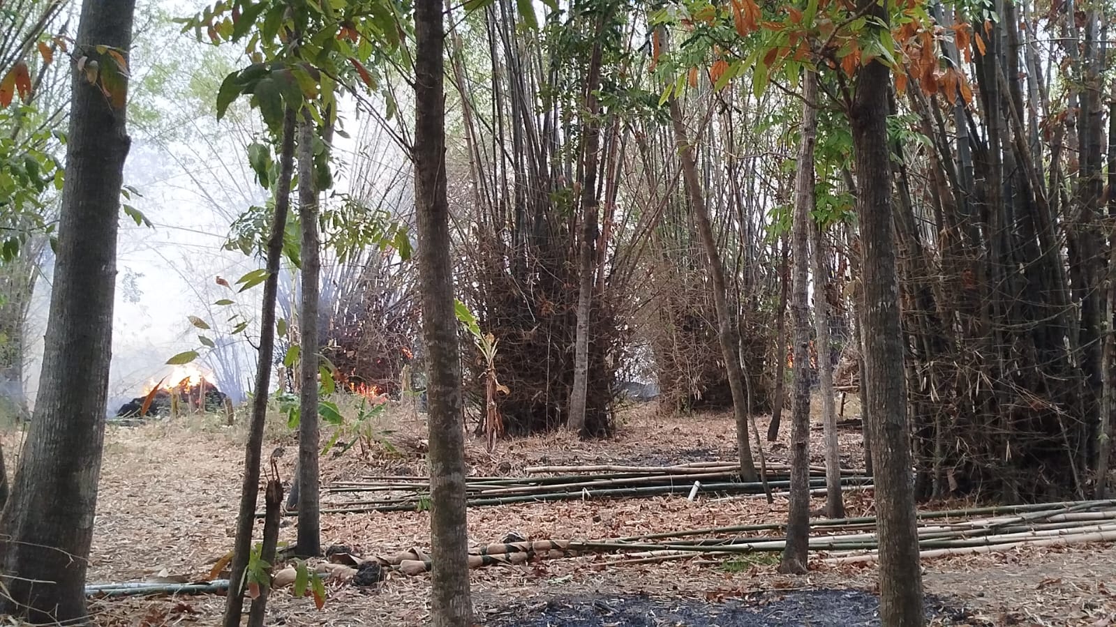 Damkarmat Bojonegoro Padamkan Kebakaran Lahan Akibat Pembakaran Sampah di Baureno