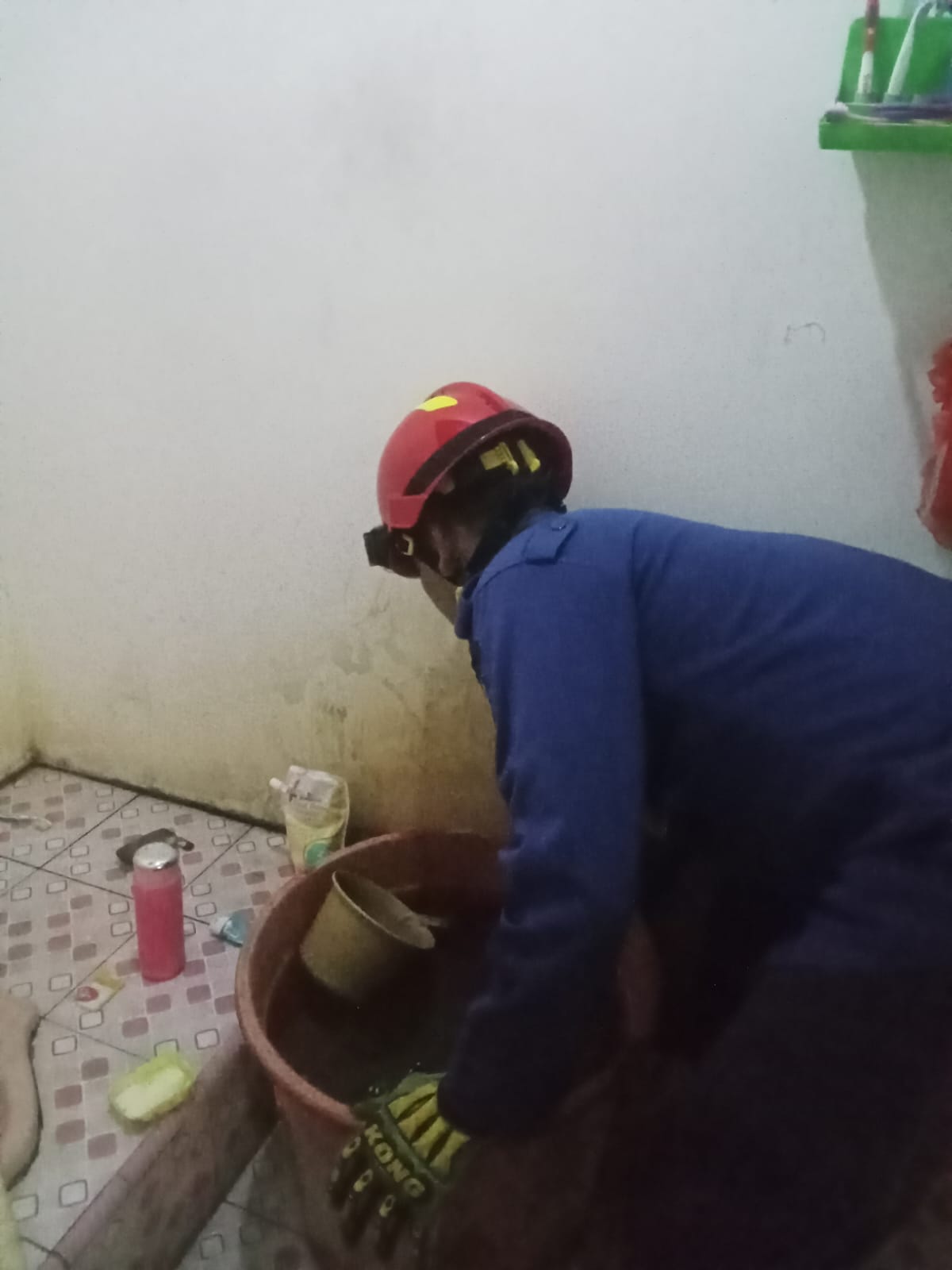 Damkarmat Bojonegoro Evakuasi Ular di Rumah Warga Desa Sukorejo