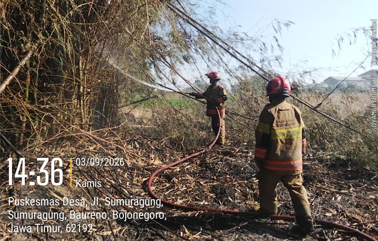 Kebakaran Lahan di Desa Sumuragung Baureno Ancam Budidaya Jamur dan Rumpun Bambu