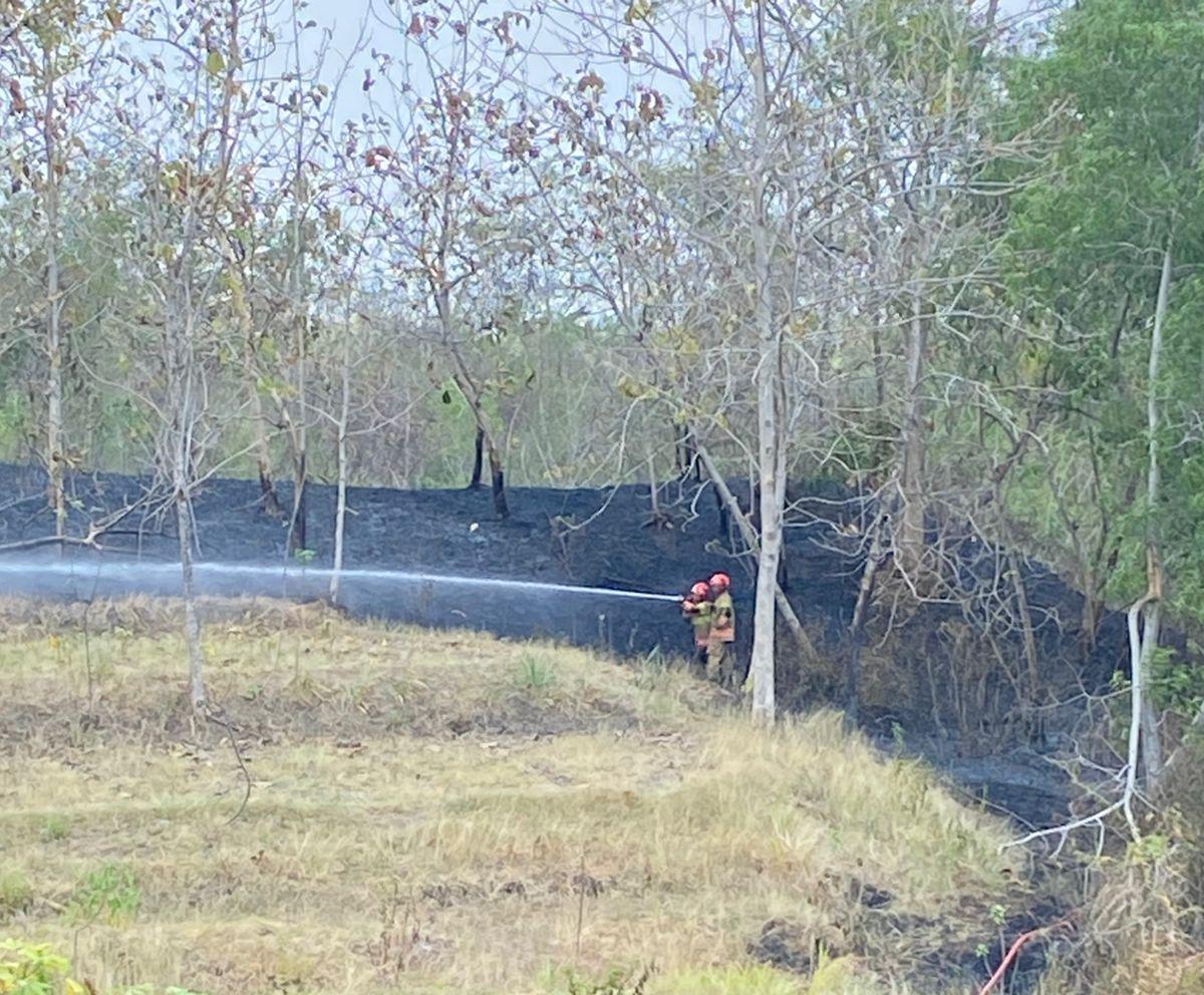 Kebakaran Lahan Seluas 3.000 Meter Persegi di Desa Pojok Berhasil Dipadamkan Damkarmat