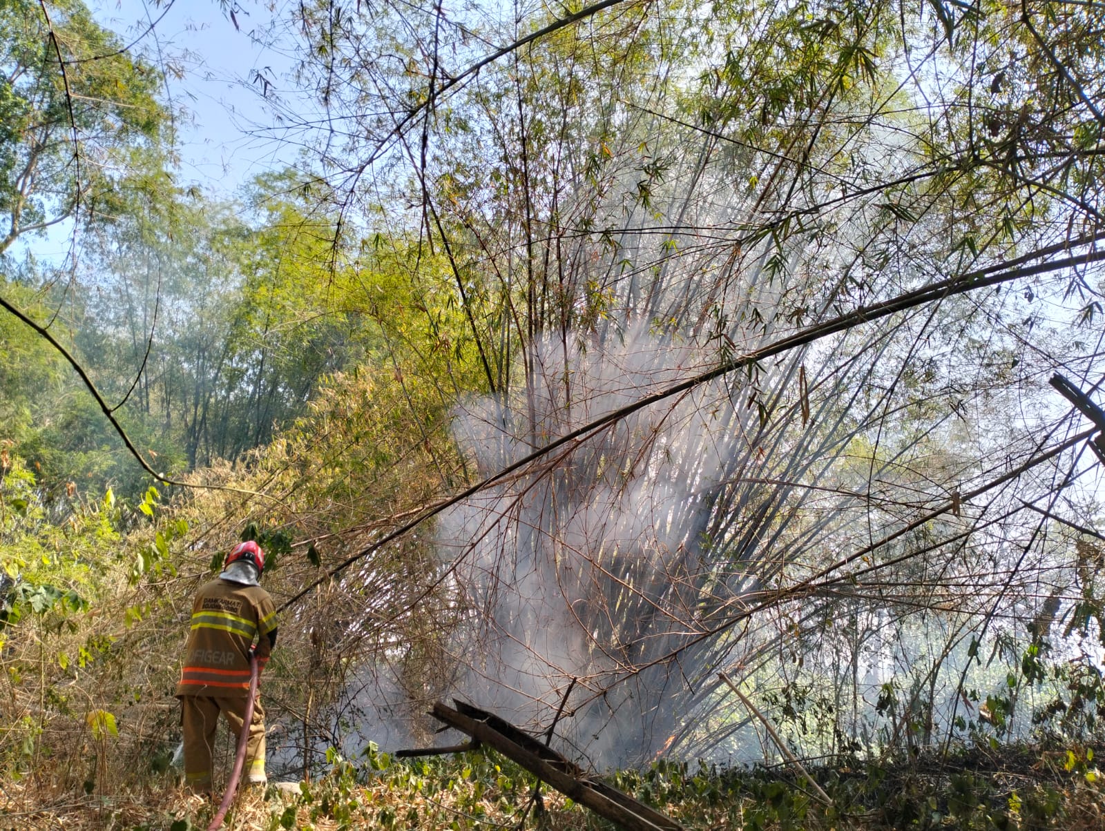 Damkarmat Bojonegoro Padamkan Kebakaran Tiga Rumpun Bambu di Desa Simbatan, Kanor